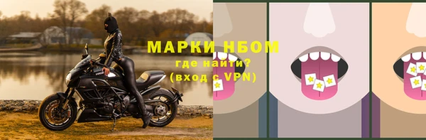 Альфа ПВП Горняк