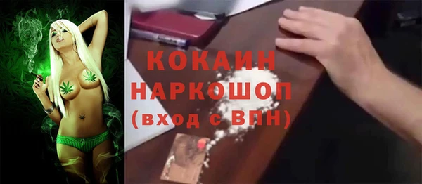 Альфа ПВП Горняк