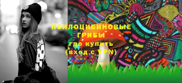 Альфа ПВП Горняк