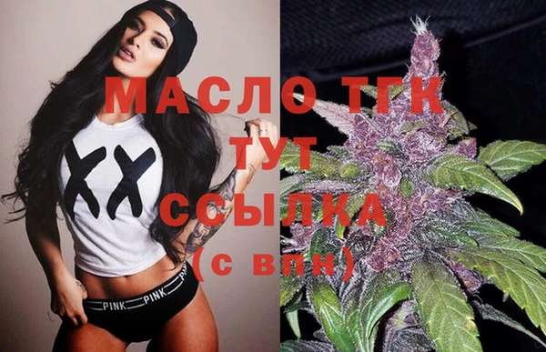 Альфа ПВП Горняк