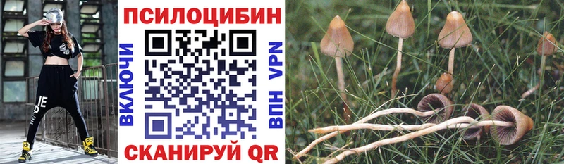 Галлюциногенные грибы Magic Shrooms  сколько стоит  Новокузнецк 